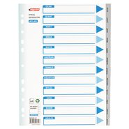 PP 11 Holes Subject Dividers 12-Tab (Months)